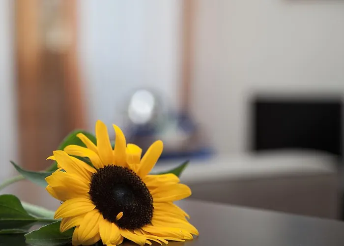 Santa Croce Bed and breakfast Roma